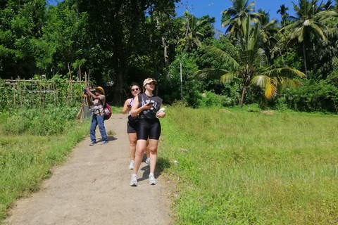 Kandy: Knuckles Mountain Range Full-Day Hike with Lunch