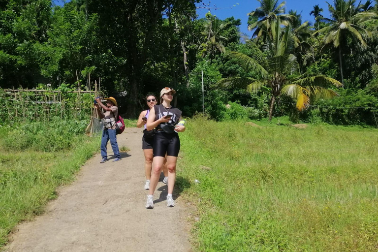 Kandy: Knuckles Mountain Range Full-Day Hike with Lunch