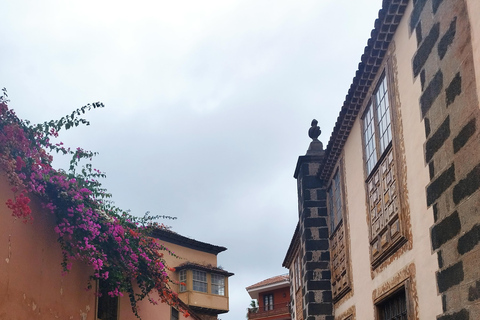 Tour guidato a piedi a La Orotava, Tenerife