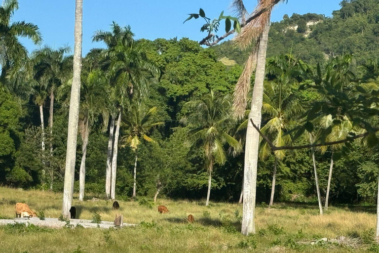 Puerto Plata: El Gallo Ecolodge Day Pass with Lunch