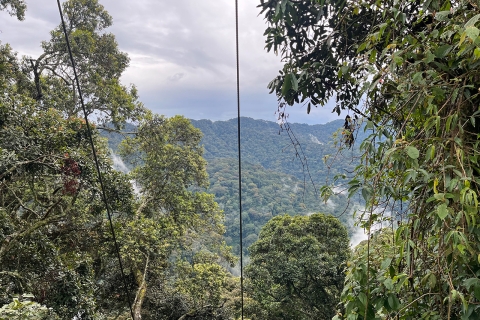 2 Días de Canopy y Cascada en la selva tropical de Nyungwe