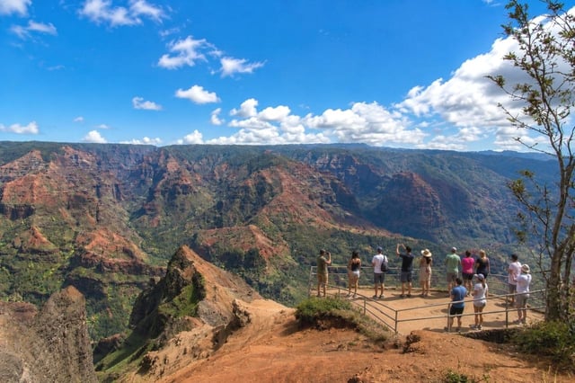 Excursion d'une journée à Kauai : Kalalau, Waimea, Poipu, croisière ou prise en charge à l'aéroport