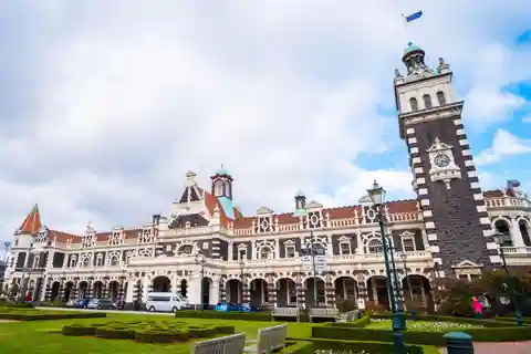 O melhor de Dunedin: Passeio a pé privado com um local