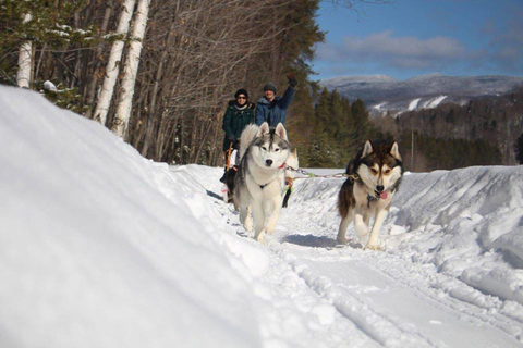 Mont-Tremblant: Dogsledding Nordic Adventure