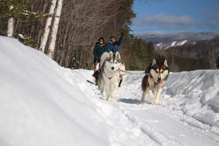 Mont-Tremblant: Dogsledding Nordic Adventure
