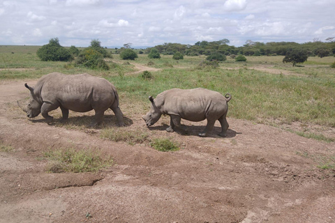 Kenya: 8-Day Safari to Amboseli, Rift Valley & Mara