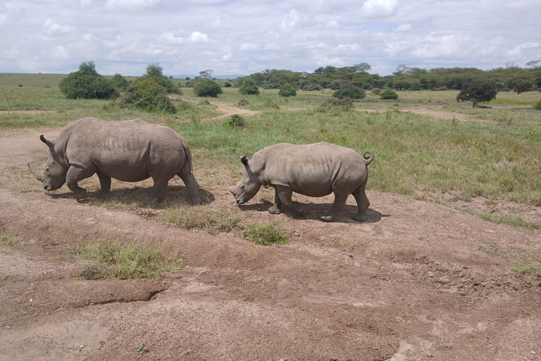 Kenya: 8-Day Safari to Amboseli, Rift Valley & Mara