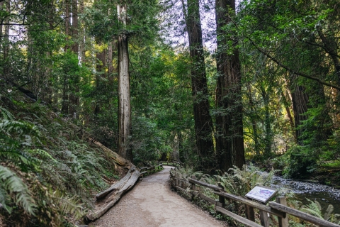 San Francisco : croisière à Muir Woods, Sausalito et SF Bay