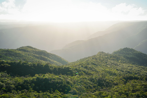 Maurice : randonnée guidée dans les gorges de la Rivière NoireMaurice : Randonnée guidée dans les gorges de la Rivière Noire