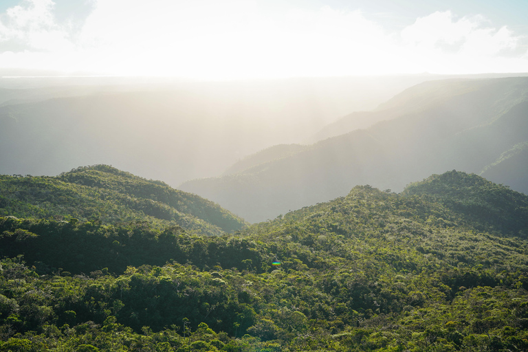 Maurice : randonnée guidée dans les gorges de la Rivière NoireMaurice : Randonnée guidée dans les gorges de la Rivière Noire