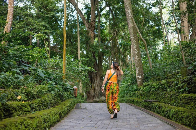 Bali Shore Excursion: Ubud, Rice Terraces & Waterfall