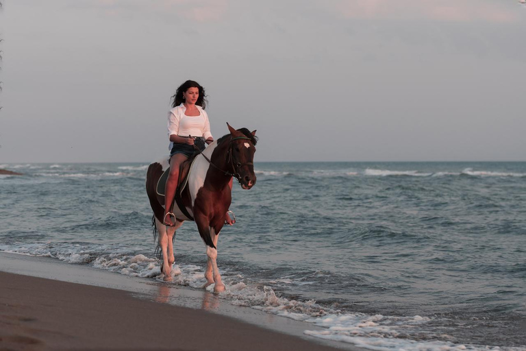Menorca: Horseback Ride to Cala Fustam Beach and Swim