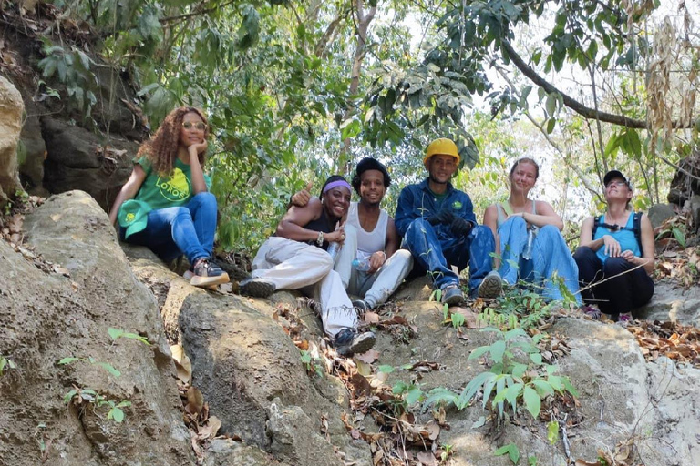 Monkey’s Creek: An Extreme Tropical Forest Hiking Adventure