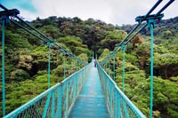 Ponts suspendus + jardin de papillons à Monteverde - Housity