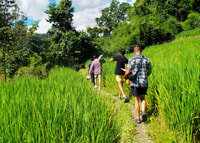 1 jour Private Eco-Trekking White Pakayyaw Village, Mae Sapok - Housity