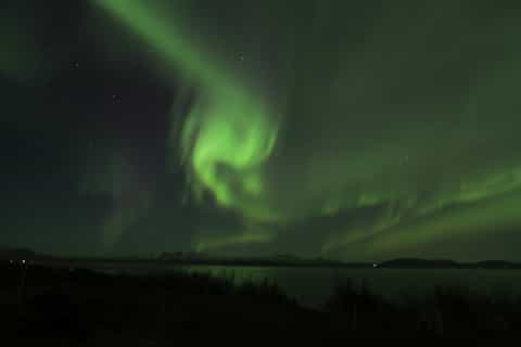 Iceland: Northern Lights Bus Tour from Reykjavik