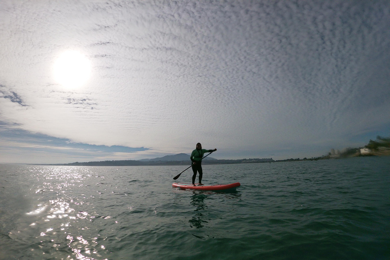 From Valparaíso: Concón Birdwatching & Sunset SUP Tour