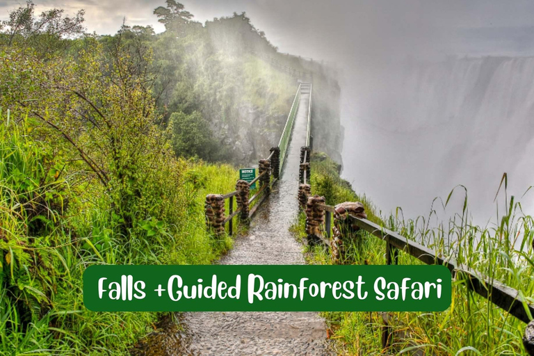 Victoria Falls : Must Do Guided Tour of Mosi Oa Tunya Open end at rainforest cafe