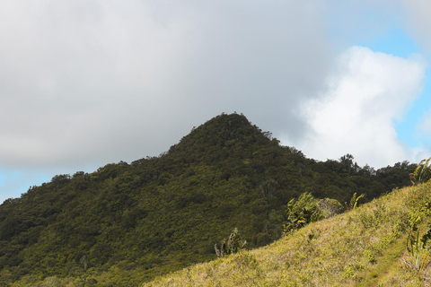 Maurice : randonnée guidée dans les gorges de la Rivière NoireMaurice : Randonnée guidée dans les gorges de la Rivière Noire