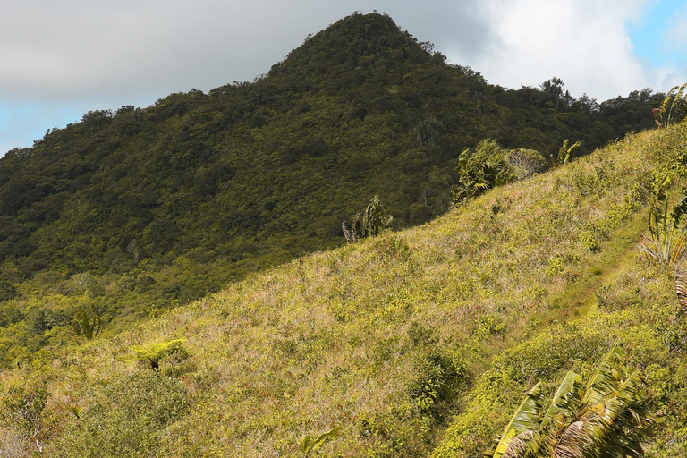 Maurice : randonnée guidée dans les gorges de la Rivière NoireMaurice : Randonnée guidée dans les gorges de la Rivière Noire