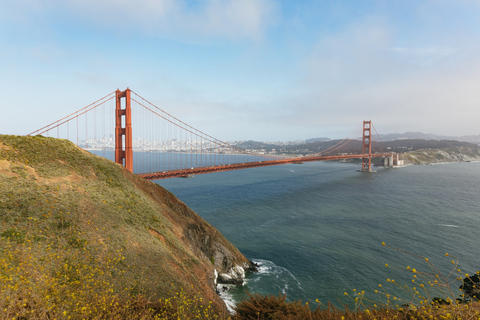 San Francisco: Muir Woods, Napa & Sonoma Valley Wine Tour Shared Tour with Lunch