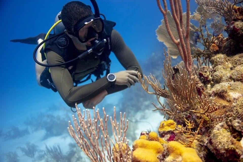 Discover Scuba Experience - International Scuba