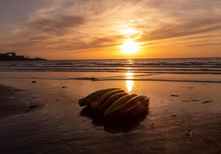 La Jolla: Sunset Kayak Tour of the 7 Caves | GetYourGuide