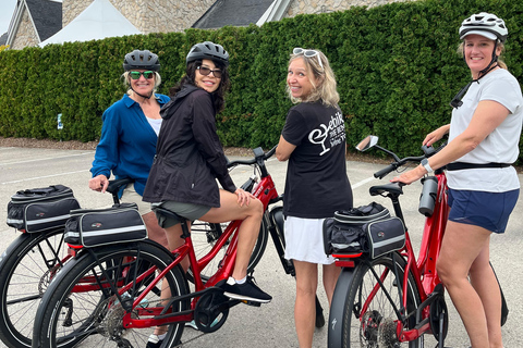 Niagara Benchlands: Ebike Tour with Wine Tastings