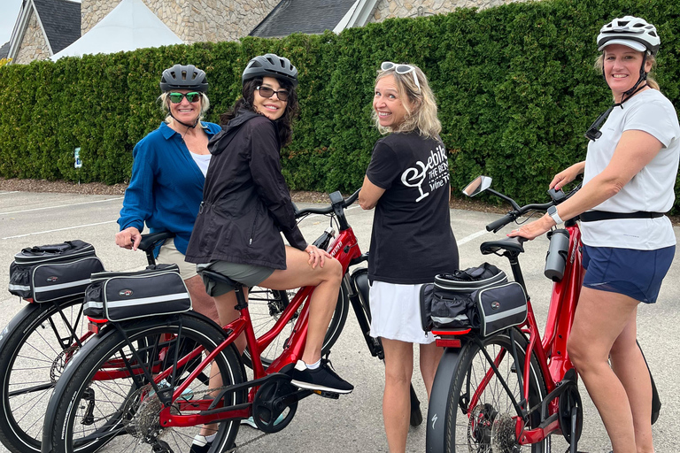 Niagara Benchlands: Ebike Tour with Wine Tastings
