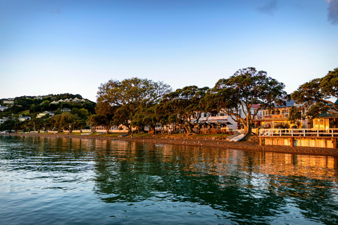 Auckland: Tour di un giorno della Baia delle Isole con crociera con i delfini