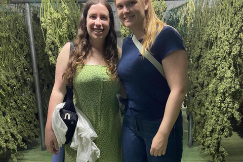 Medellín: A Nature Journey Into Medicinal Cannabis Option 1: Basic Educational Cannabis Tourism Experience