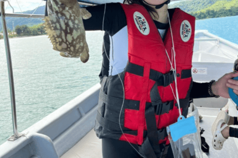 Langkawi: Mangrove Cruise with Eagle Feeding & Beach Swim 3 Hour estimated Mangrove+Beach Swim