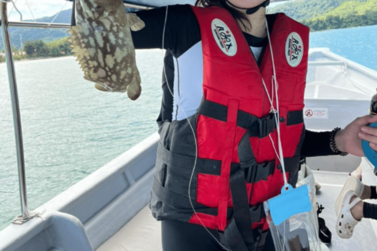 Langkawi: Mangrove Cruise with Eagle Feeding & Beach Swim 3 Hour estimated Mangrove+Beach Swim