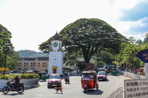 Kandy: Tour guiado privado por la ciudad en Tuk Tuk Sightseeing Tour