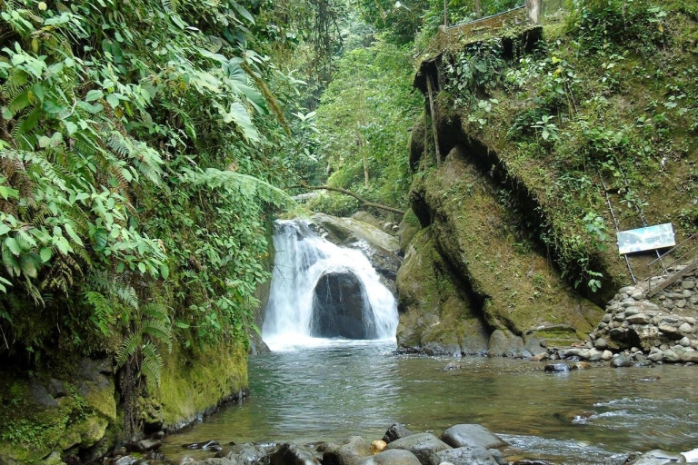 Mindo Cloud Forest Tour from Quito: 1 full day of Adventure Mindo Cloud Forest Shared Tour