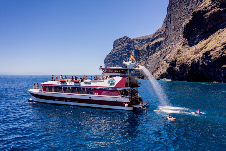 Depuis Adeje : croisière baleines et dauphins avec déjeunerVisite guidée sans prise en charge à l’hôtel