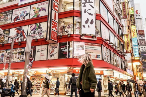 Tokyo City Private Day Tour By English Speaking Driver