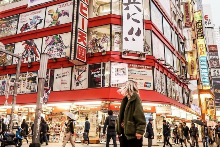 Tokyo: Private City Highlights Tour with Expert Guide