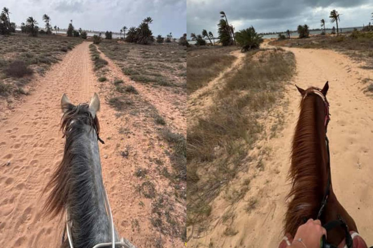 Djerba: Horseback Riding Adventure with Transfer