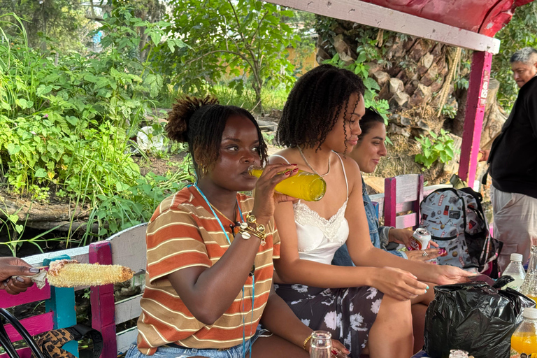 Mexico : visite guidée en bateau avec déjeuner et boissonsMexico : sortie en bateau avec un guide expert, déjeuner et boissons inclus
