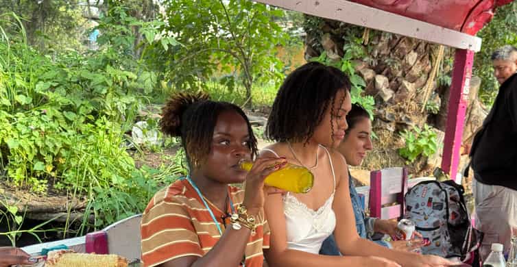 Mexico City: Expert-Guided Boat Tour with Lunch and Drinks photo 9