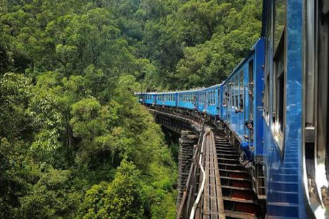 Kandy To Nanuoya Drop Tour & Morning Ella Train Journey Kandy To Nanuoya Drop Tour & Morning Ella Train Journey Car*