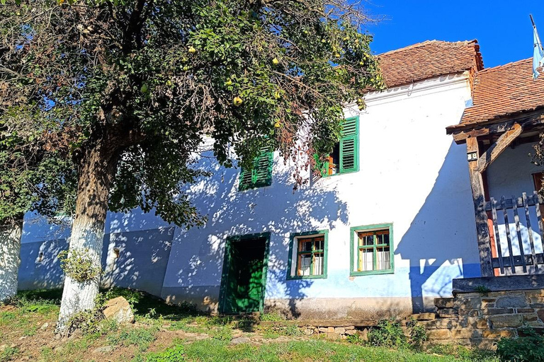 Brașov – Viscri – Sighișoara Day Trip