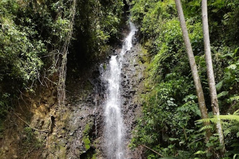 MEDELLIN : VISITE DES JARDINS + ANDES (VUE PANORAMIQUE) + ÉLEVAGE DE TRUITES