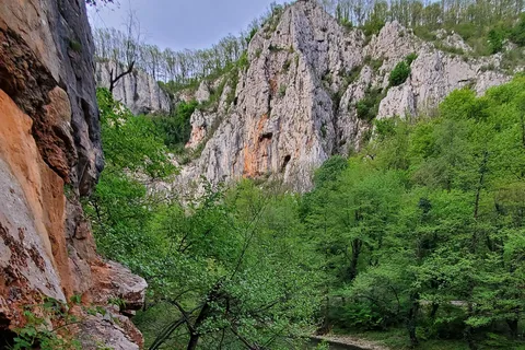 From Oradea: Gorges of Crisul Repede River