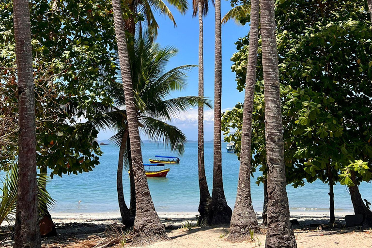 Gulf of Chiriqui Island Hopping and Raw Experience