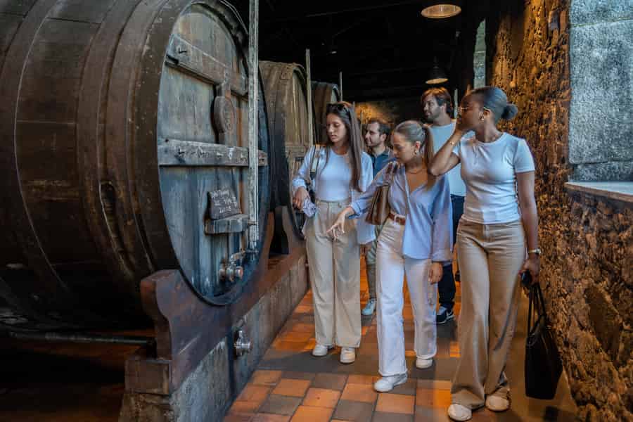Porto Halve Dag Tour & Port Wijnproeverij