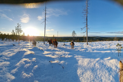 Rovaniemi: Winter Horseback Ride on Snowy Hills and Forests Winter Horseback Ride through the hills + transfer