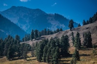Magical Kashmir Tour - Hizvo
