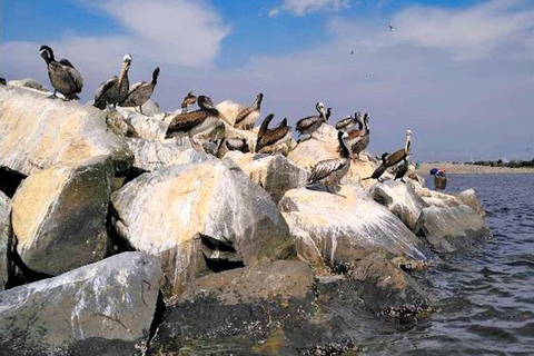 Lima: giornata intera dedicata al Callao monumentale